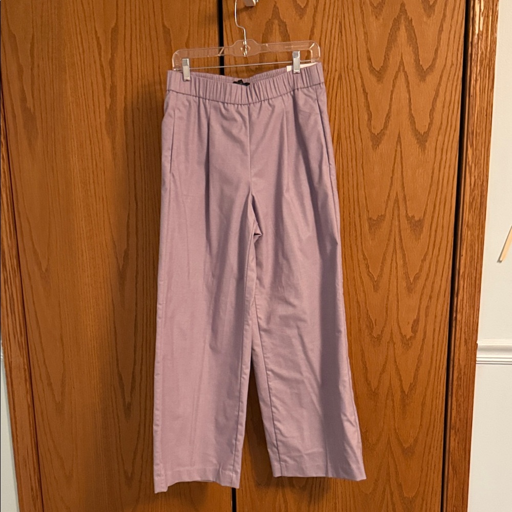 Ann Taylor Lilac Trousers